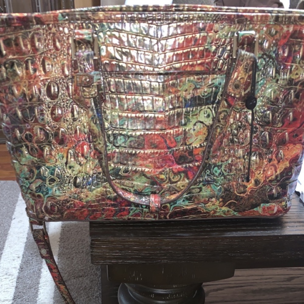 Mid size Brahmin (Multicolor)